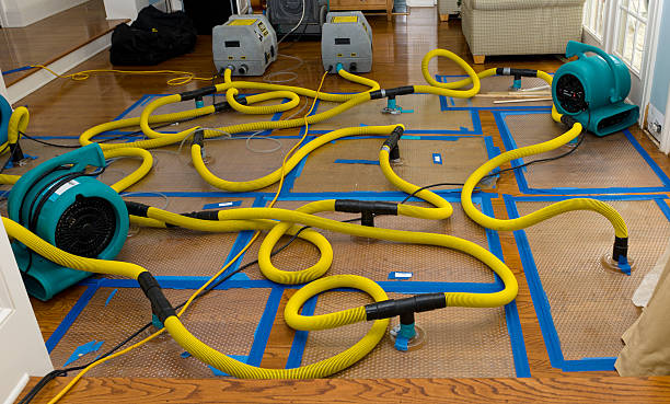Professional Water Damage Repair technician working in Rydal, GA